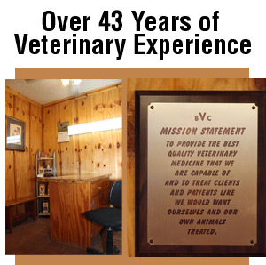 Veterinary clinic office