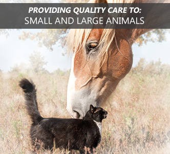 Providing quality care to small and large animals